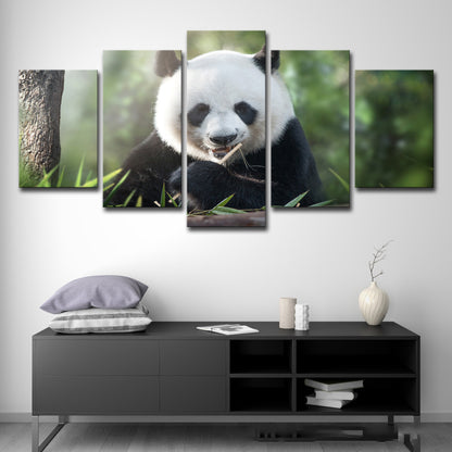 Poster | Panda Style - Olika storlekar
