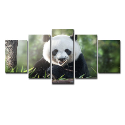 Poster | Panda Style - Olika storlekar