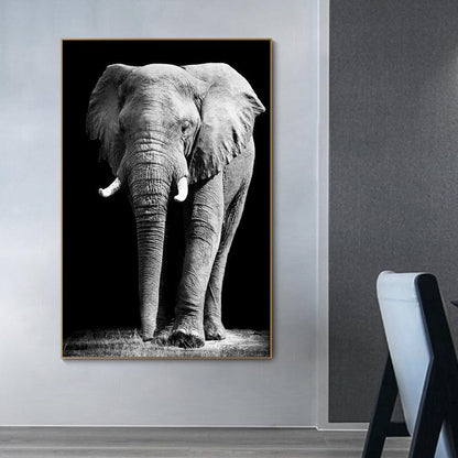 Poster | Afrikansk Elefant - Olika modeller/storlekar
