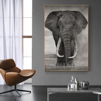 Poster | Afrikansk Elefant - Olika modeller/storlekar