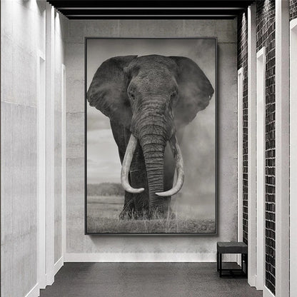 Poster | Afrikansk Elefant - Olika modeller/storlekar