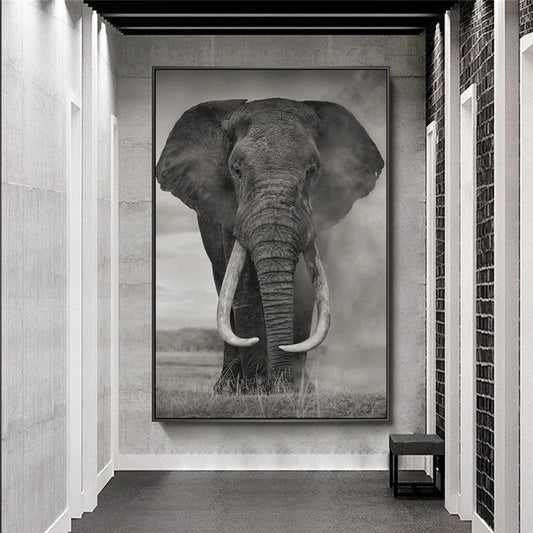 Poster | African Elephant - Various models/sizes